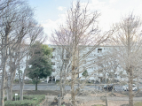 住戸からの眺望写真