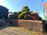 その他現地
