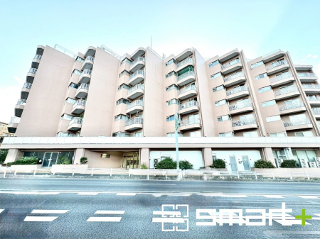 「第二松戸グリーンハイツ」物件画像