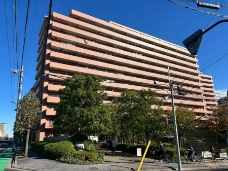 「売りマンション　コスモ西大島グランステージ東棟」物件画像