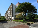 東京都府中市住吉町２丁目：物件画像